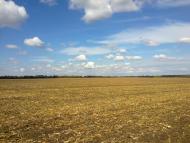 Павлівка з panoramio.com