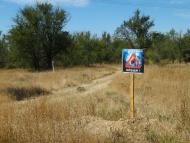 Чоботарка з panoramio.com