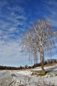 Бродки з panoramio.com