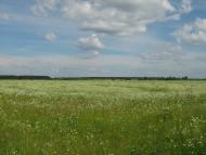 Воля-Бартатівська з panoramio.com