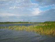 Нескучне з panoramio.com