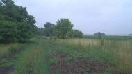Зелене з panoramio.com