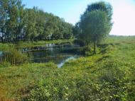 Малі Будища з panoramio.com