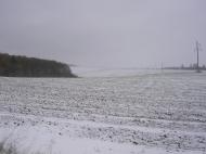 Чижівка - Останні фото