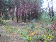 Лозівок з panoramio.com