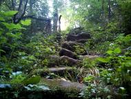 Гамарня з panoramio.com