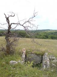 Барабанове з panoramio.com