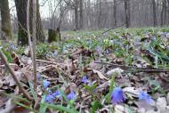 Високопілля з panoramio.com