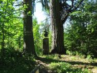 Біньова з panoramio.com