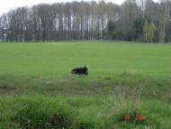 Глушицьке з panoramio.com