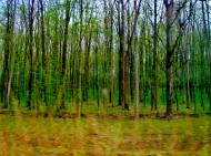 Мурзинці з panoramio.com