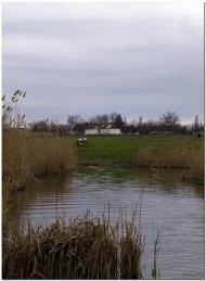 Леніна з panoramio.com