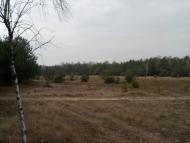 Жиричі з panoramio.com