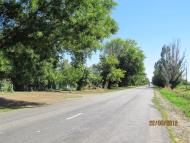 Травневе з panoramio.com