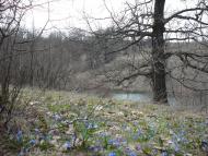 Люджа з panoramio.com