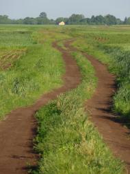 Стаївка з panoramio.com