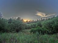 Олександро-Степанівка - Останні фото