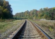 Лісоводи з panoramio.com