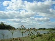 Червоний Маяк - Останні фото