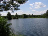 Стригани з panoramio.com