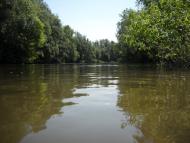 Великі Сорочинці з panoramio.com - Великие Сорочинцы