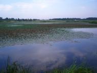 Кремне - Останні фото