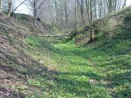 Нова Мощаниця з panoramio.com