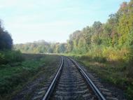 Лісоводи з panoramio.com