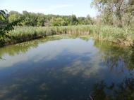 Зоряне з panoramio.com