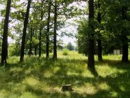 Свеса з panoramio.com