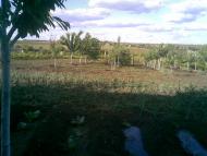 Ганнівка з panoramio.com