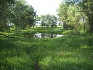 Великі Сорочинці з panoramio.com - Великие Сорочинцы