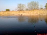 Горошине з panoramio.com