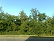 Терпіння з panoramio.com