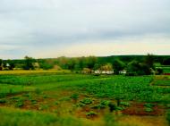 Мурзинці з panoramio.com