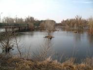 Проточі з panoramio.com