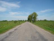 Журавка з panoramio.com