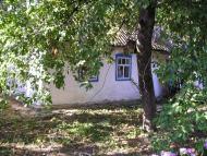 Черепин з panoramio.com