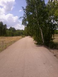 Коротченкове з panoramio.com