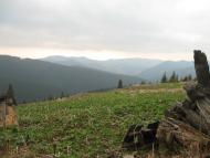 Голошина з panoramio.com