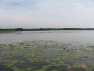 Віл з panoramio.com