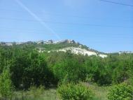 Каштанове з panoramio.com