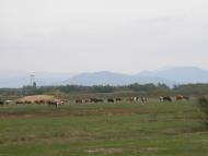 Оклі з panoramio.com