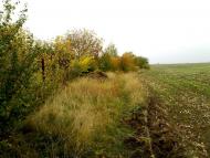 Божкове з panoramio.com