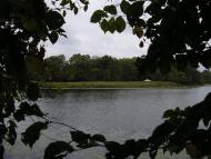 Козероги з panoramio.com