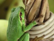 Устинкова Гребля з panoramio.com