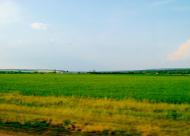 Мурзинці з panoramio.com