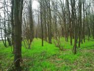Високопілля з panoramio.com
