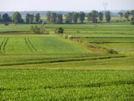 Стаївка з panoramio.com