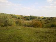 Комуніст з panoramio.com